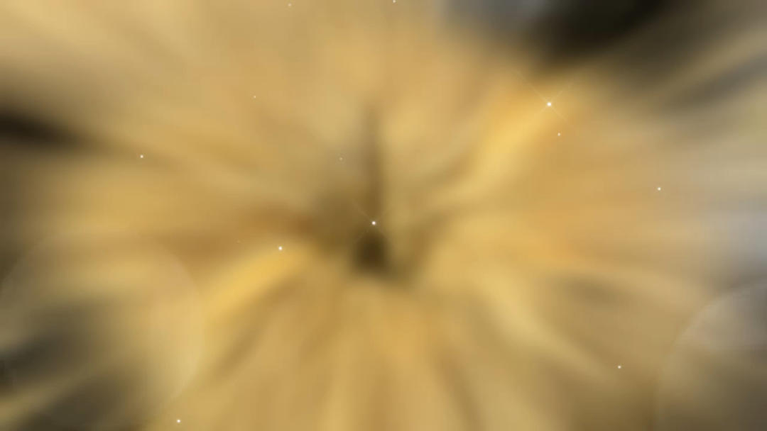 土耳其芝麻圈