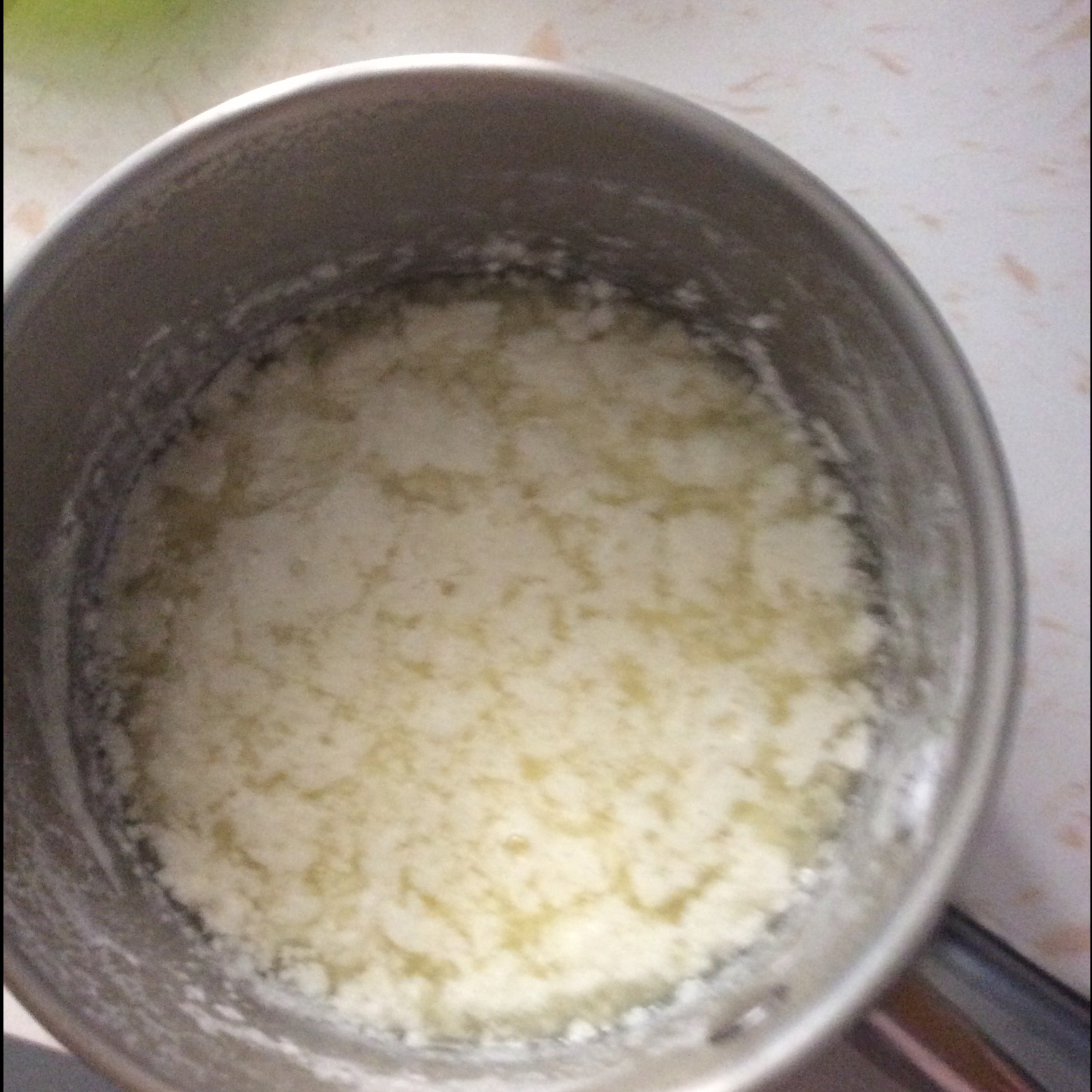 鲜奶酪/乡村奶酪