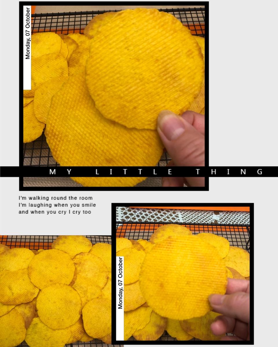 果蔬脆片（果蔬薄脆）