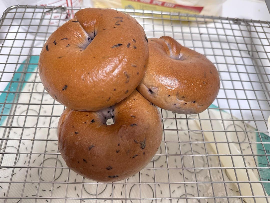 蓝莓贝果🫐