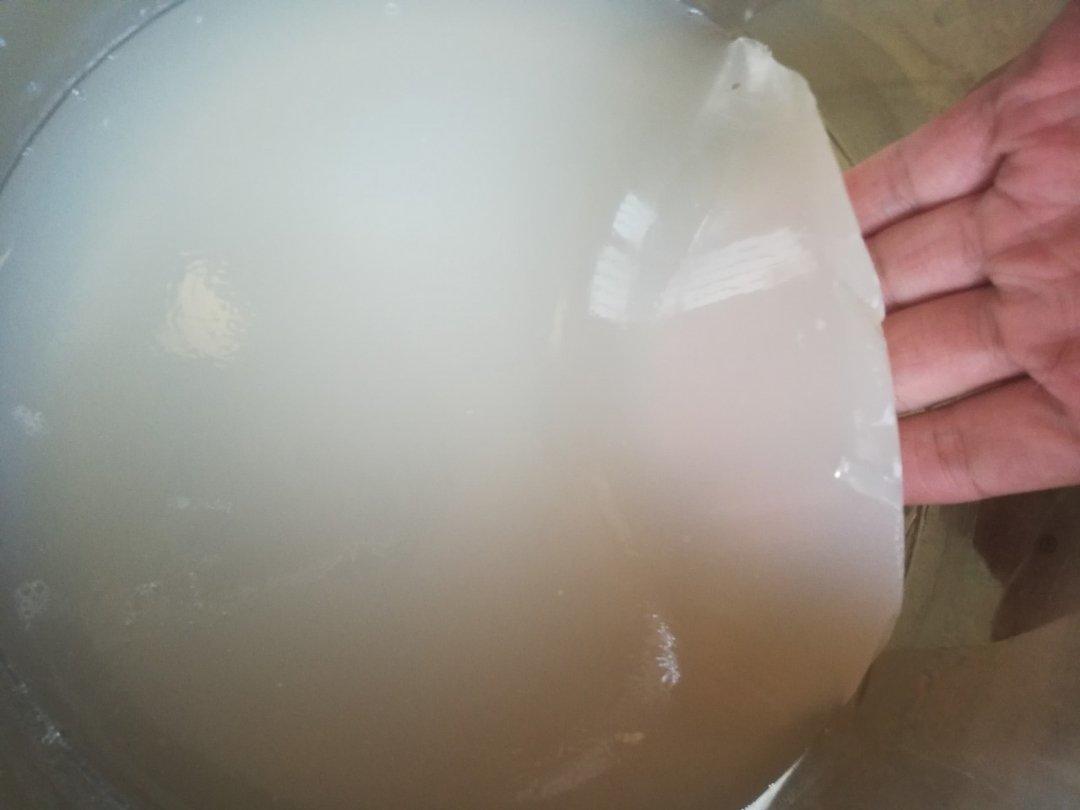 肉皮冻（个人做法家庭版）