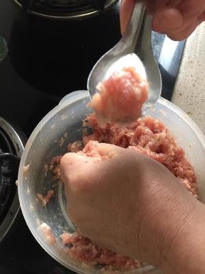 冬瓜丸子片粉汤的做法 步骤3