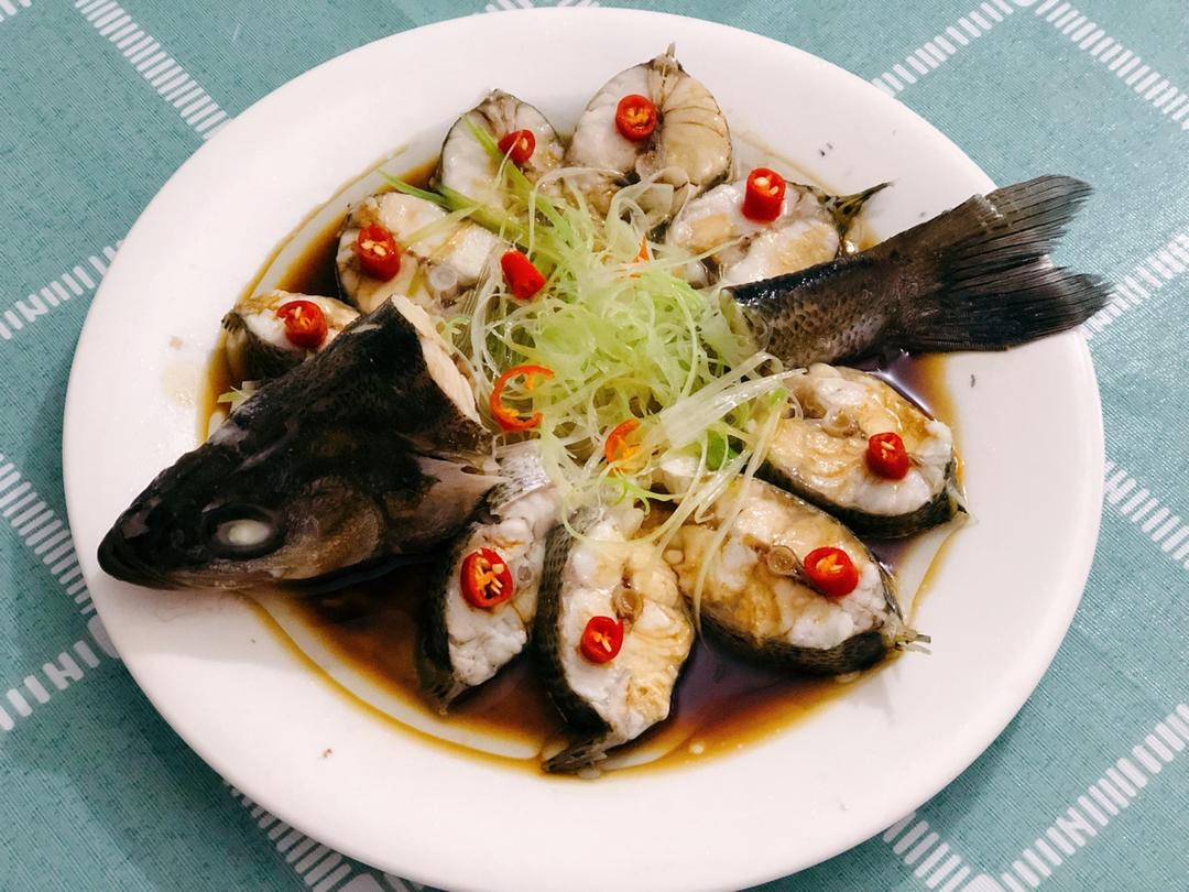 孔雀开屏鱼.