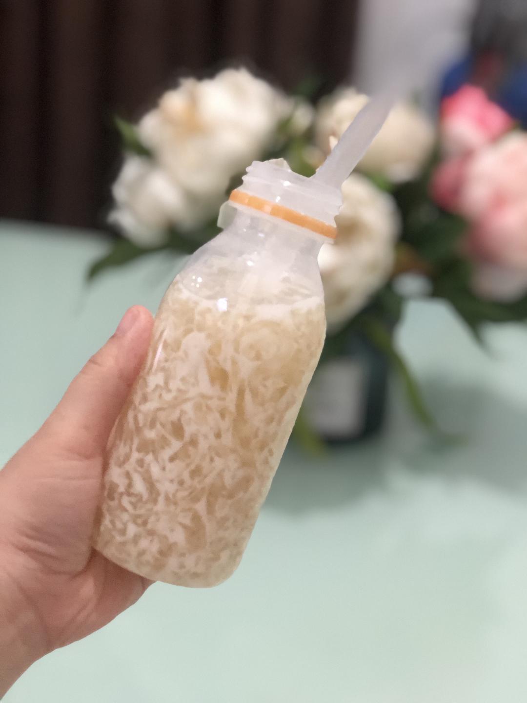 【🧊冰爽海底椰膏🥥的做法步骤图,怎么做好吃】斯斯雅_下厨房