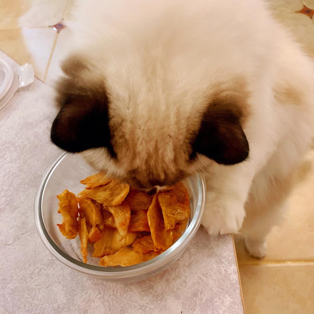 猫咪零食鸡肉干的做法