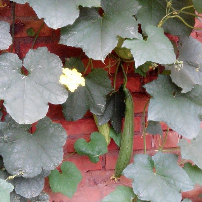 早餐•2014年7月10日