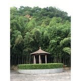 爱吃鱼的兔小子