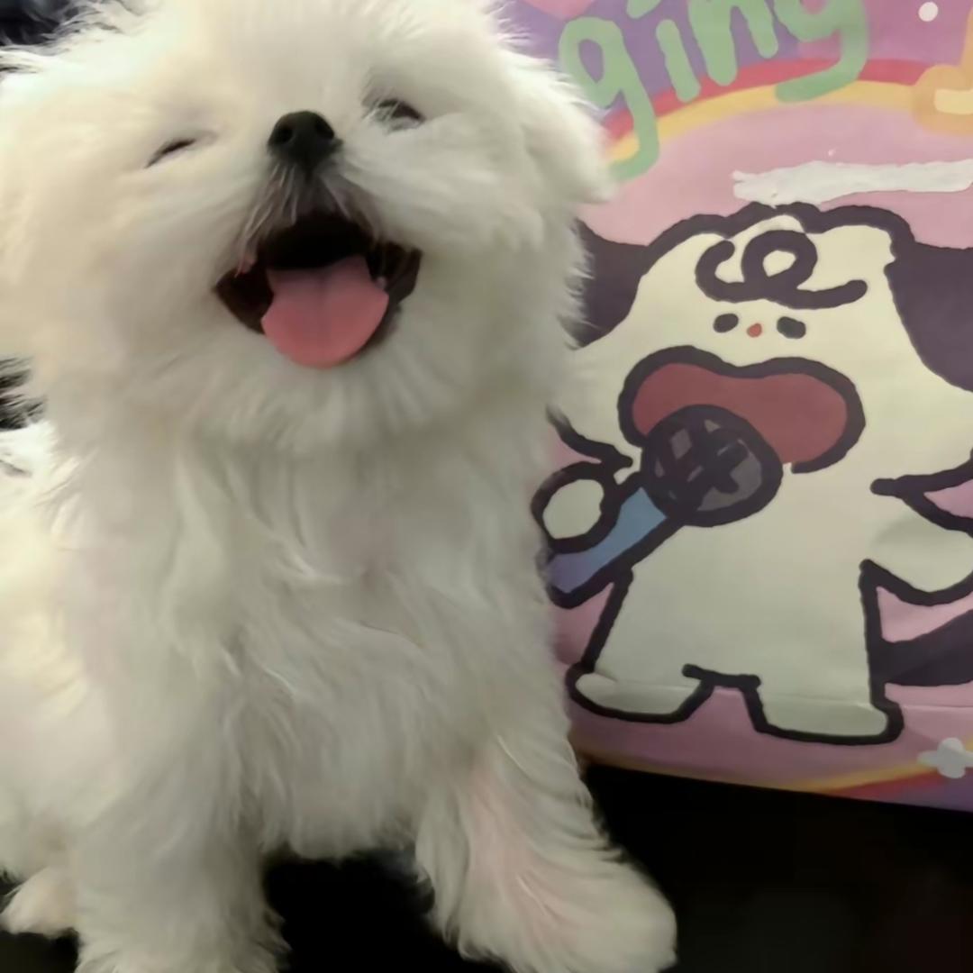 小李子私房菜