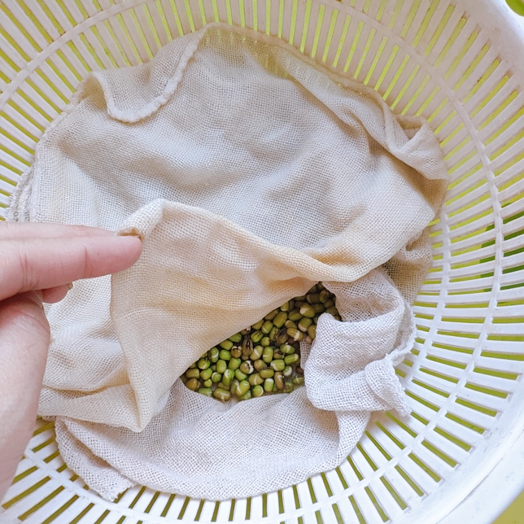 DIY生绿豆芽的做法 步骤9