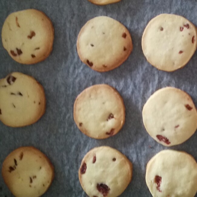 蔓越莓饼干（君之配方改良，易操作版）