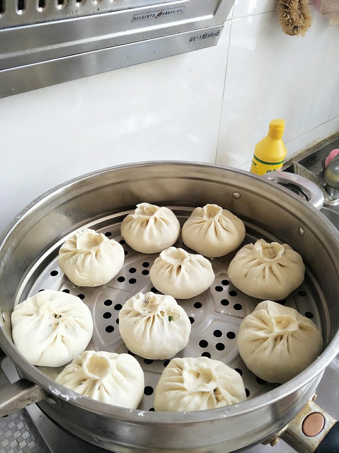 堂妈教你山菜鲜肉大包子