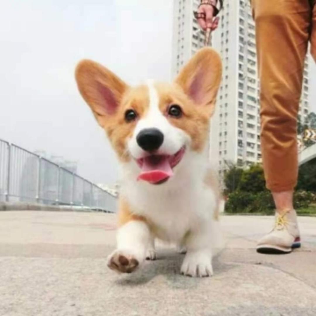 菜肴分享