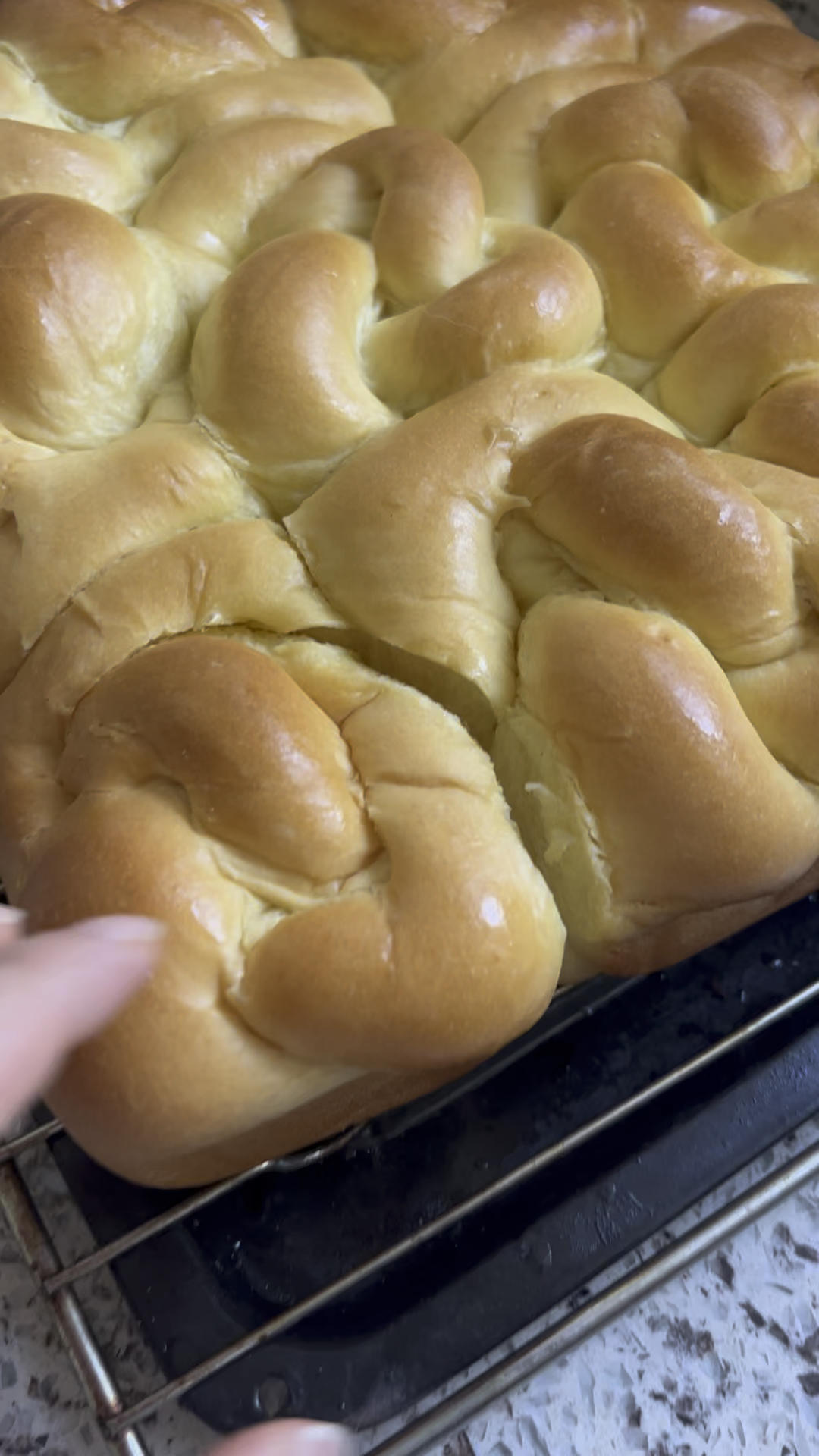 老面包，改良版，更柔软！更香浓！