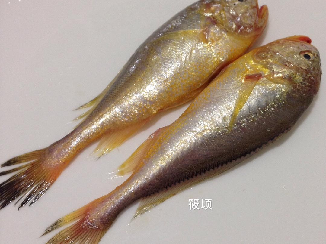 学名:小黄鱼,本地摊网话叫中鱼,学名:大黄鱼,本地摊网话叫红瓜鱼.