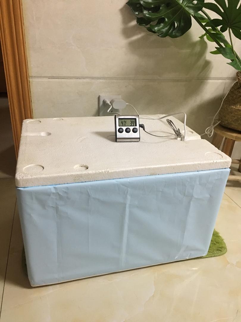 巴黎蜘蛛侠做的自制发酵箱