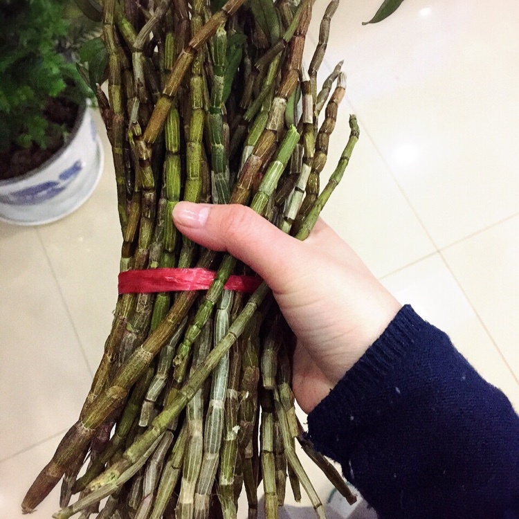 铁皮石斛鲜蜜汁