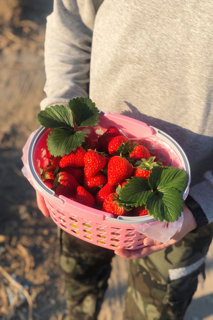 草莓季🌹我的少女心