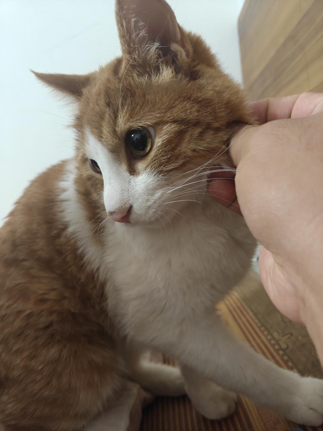 蘸水面蘸料