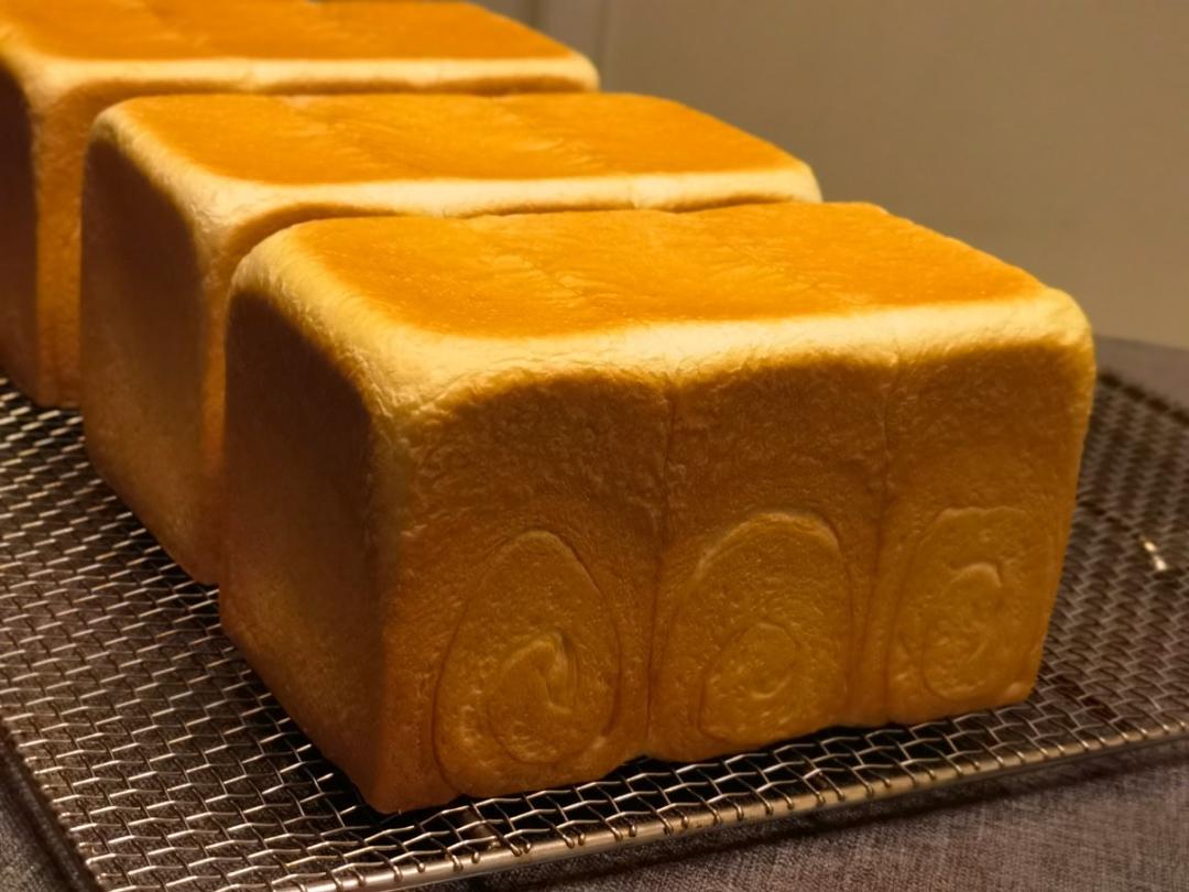 鲜奶油小餐包（一次发酵）