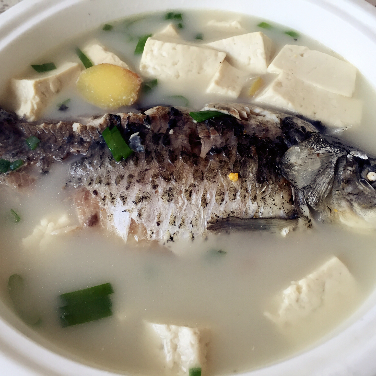 amber7ob4做的鲫鱼豆腐汤