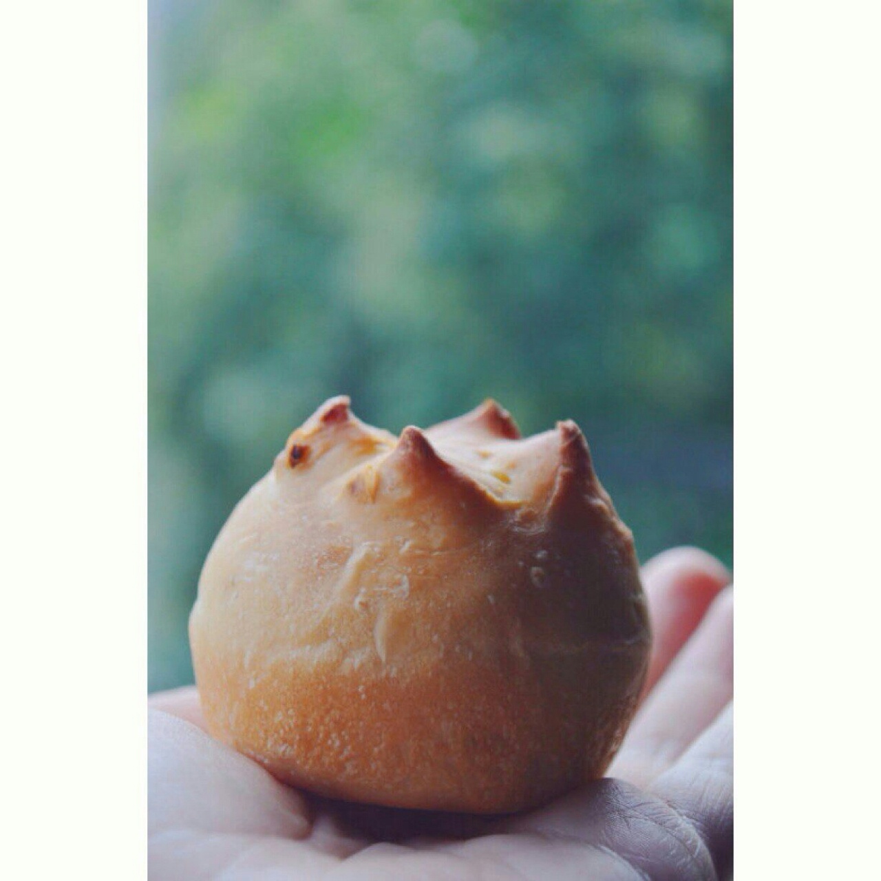 金大旺的快手洋葱包