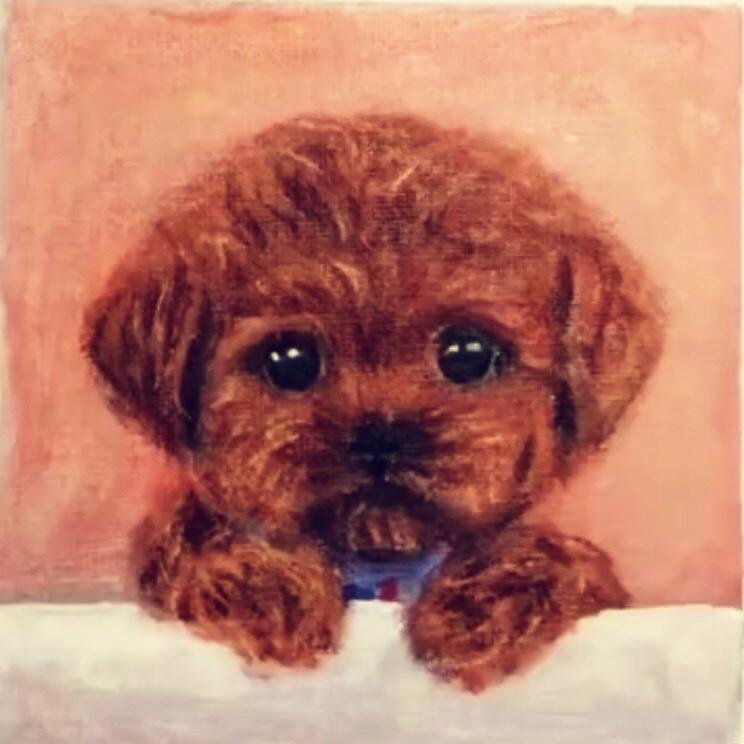 美娜幸福的小家