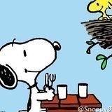 小酷狗要活的热气腾腾