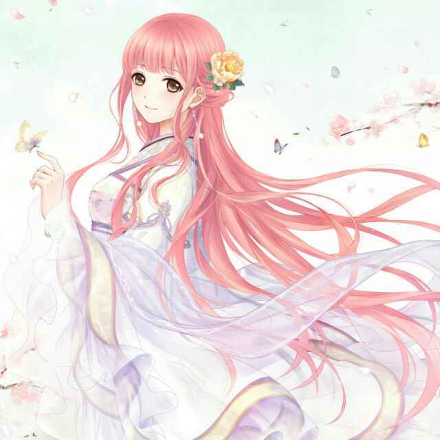 萱草520