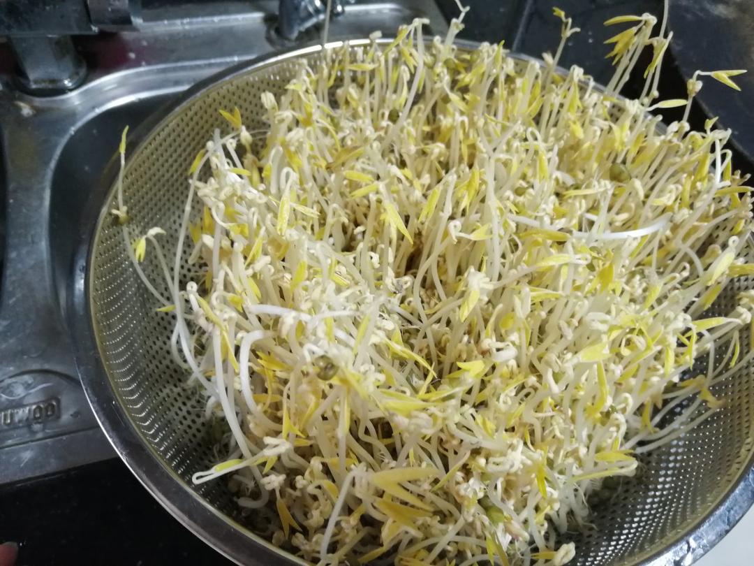 沥水篮发豆芽