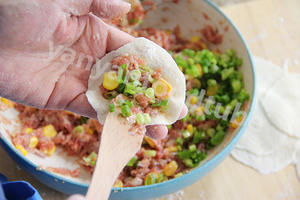 冰花煎饺 Fried Pork & Lotus Root Dumplings的做法 步骤8