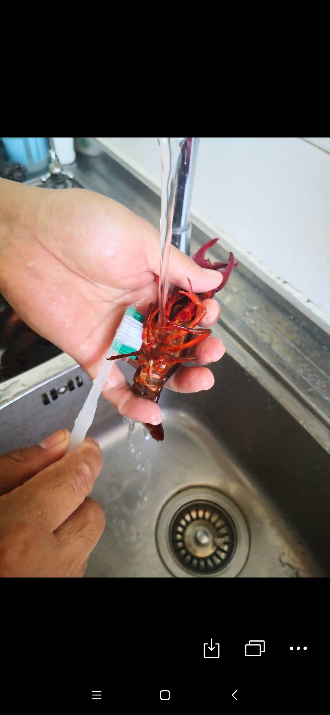 【最详细的清理小龙虾教程】医学解剖版