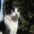 手机用户5695_jmyk