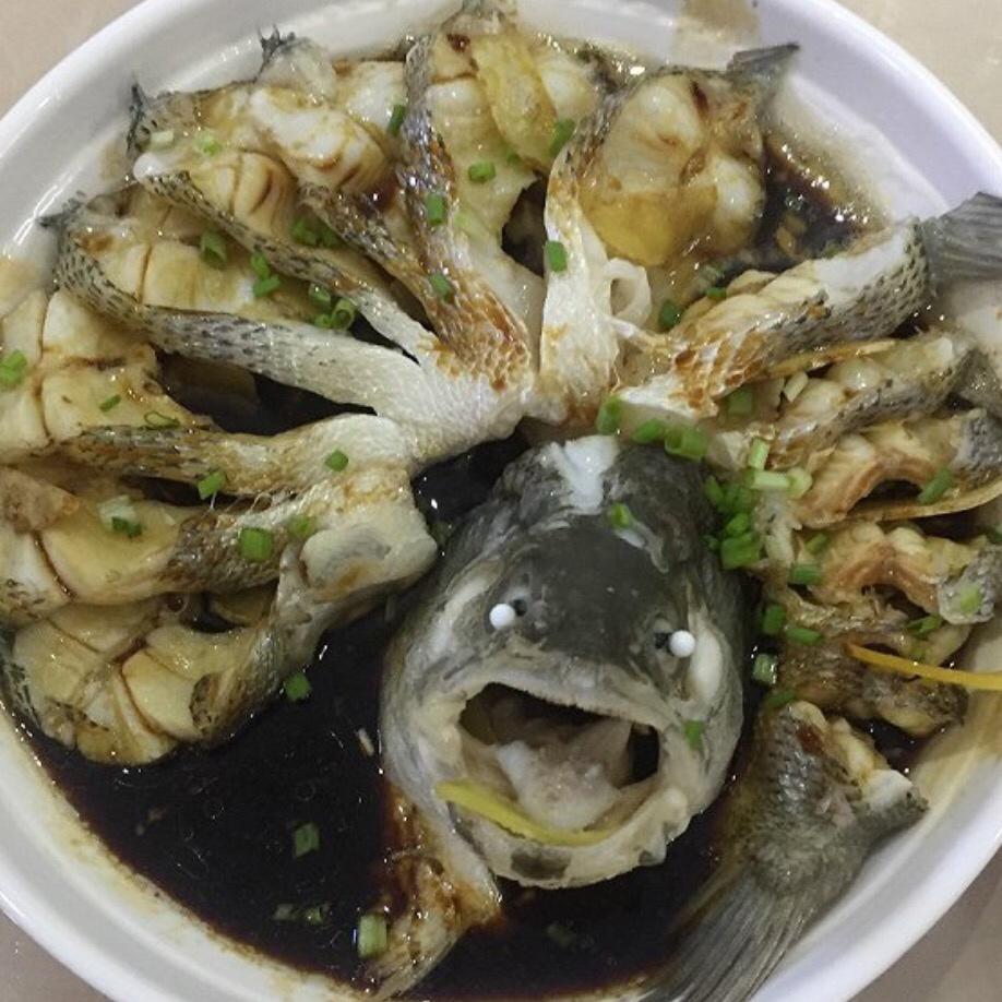 孔雀开屏鱼