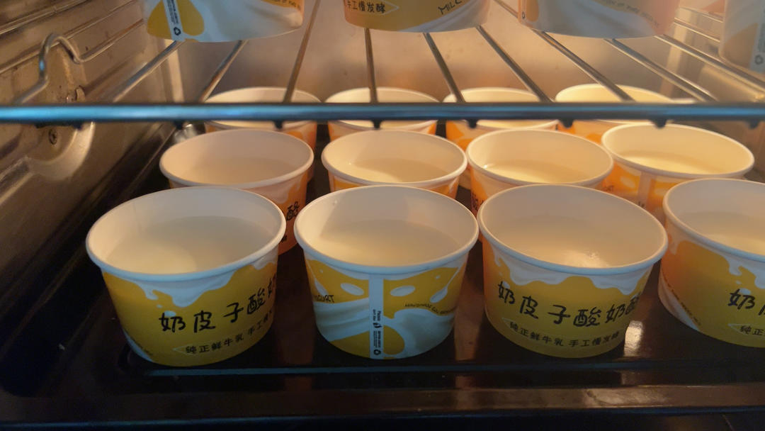 网红奶皮子酸奶（小美版）