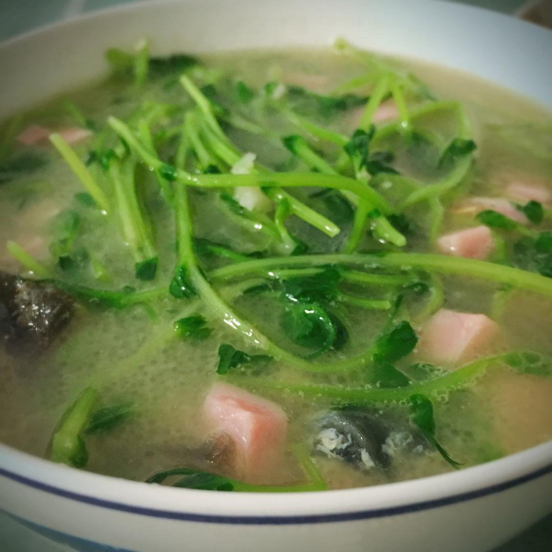 沐晨-8做的上汤豌豆苗