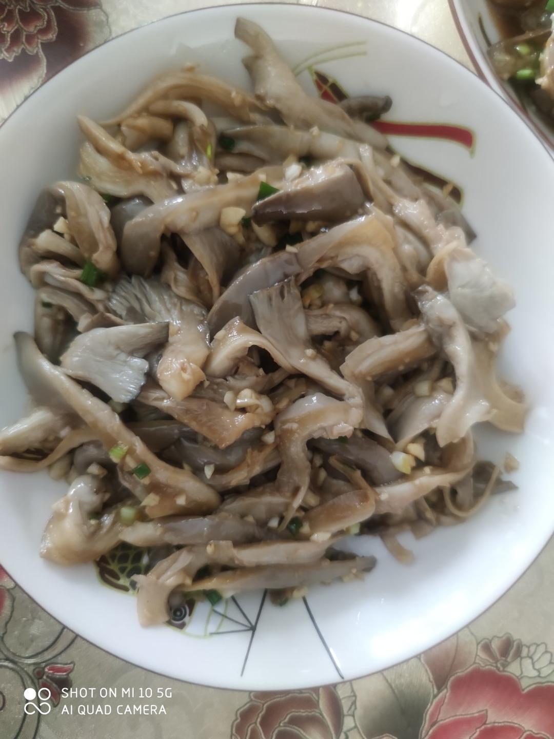 拌一盘光一盘‼️好吃到无法停下来的节奏😋😋凉拌平菇