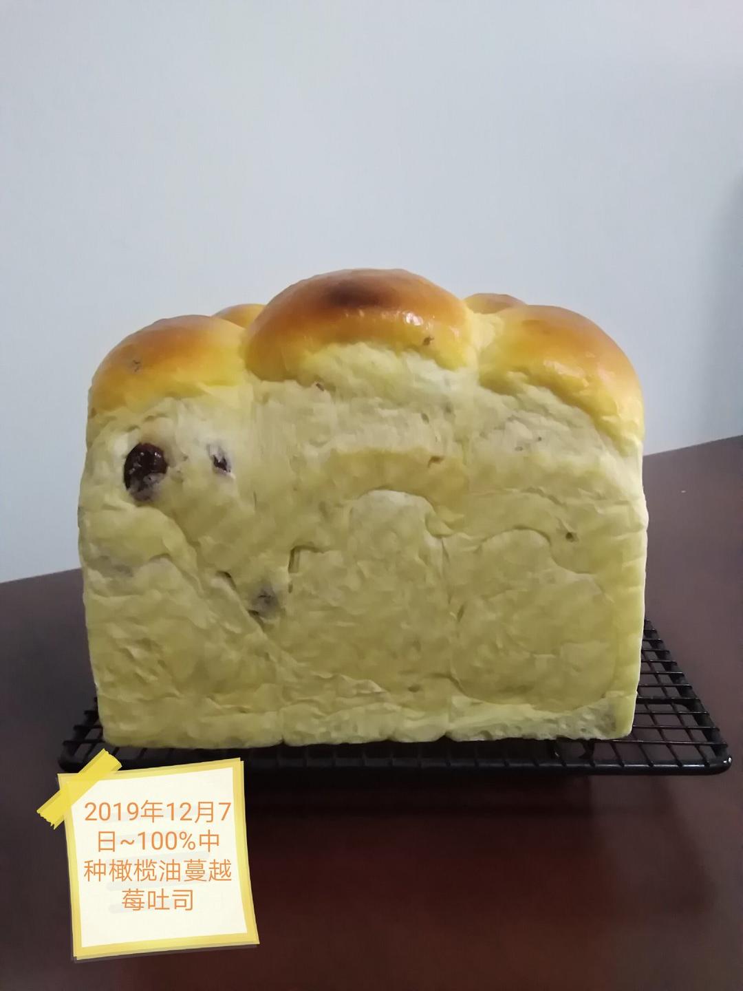 100个橄榄油吐司～向面包匠人们致敬！