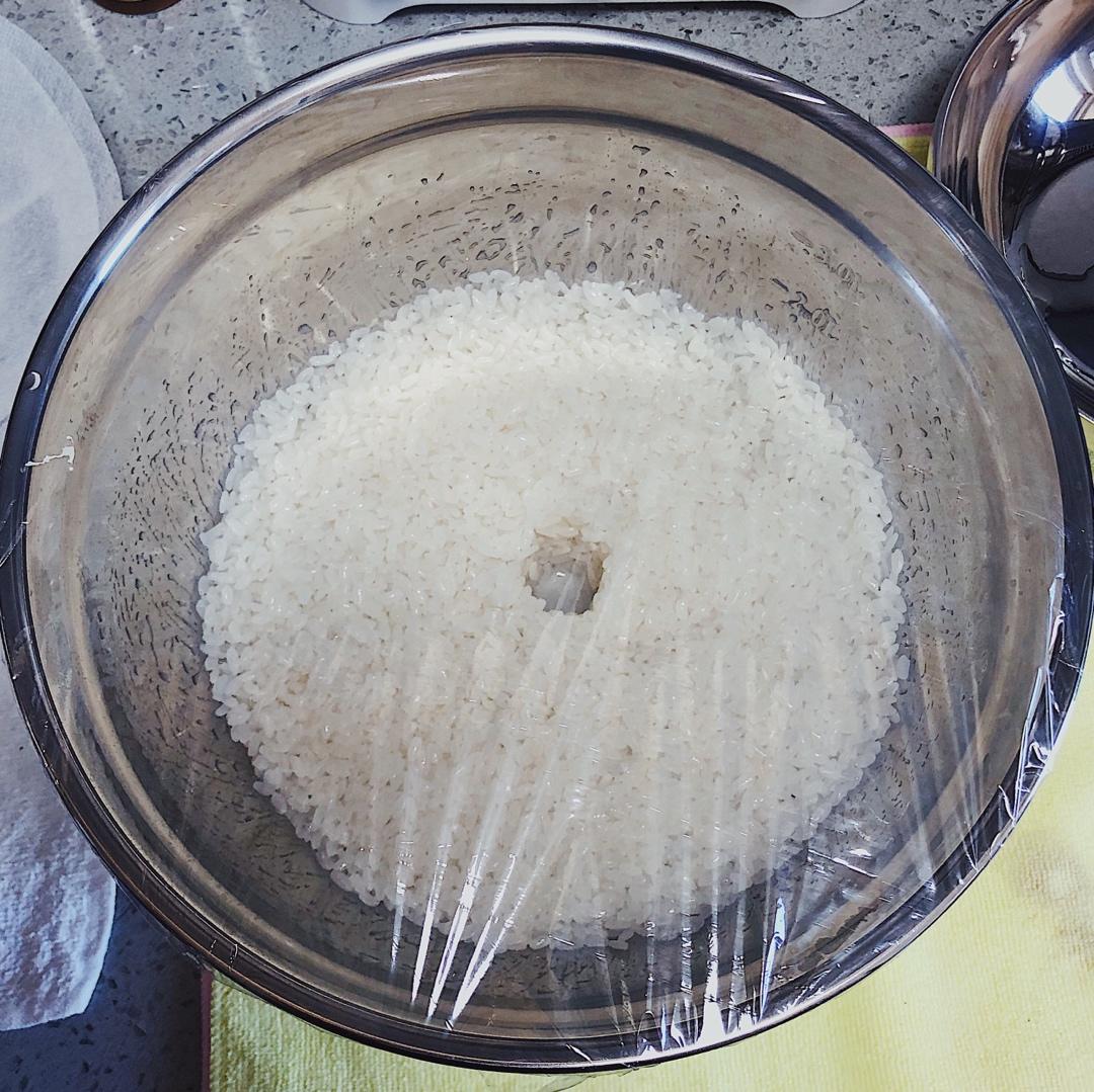 酒酿 (酒酿系列一）