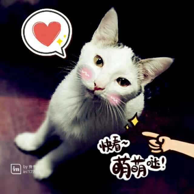 手机用户4581_lunf