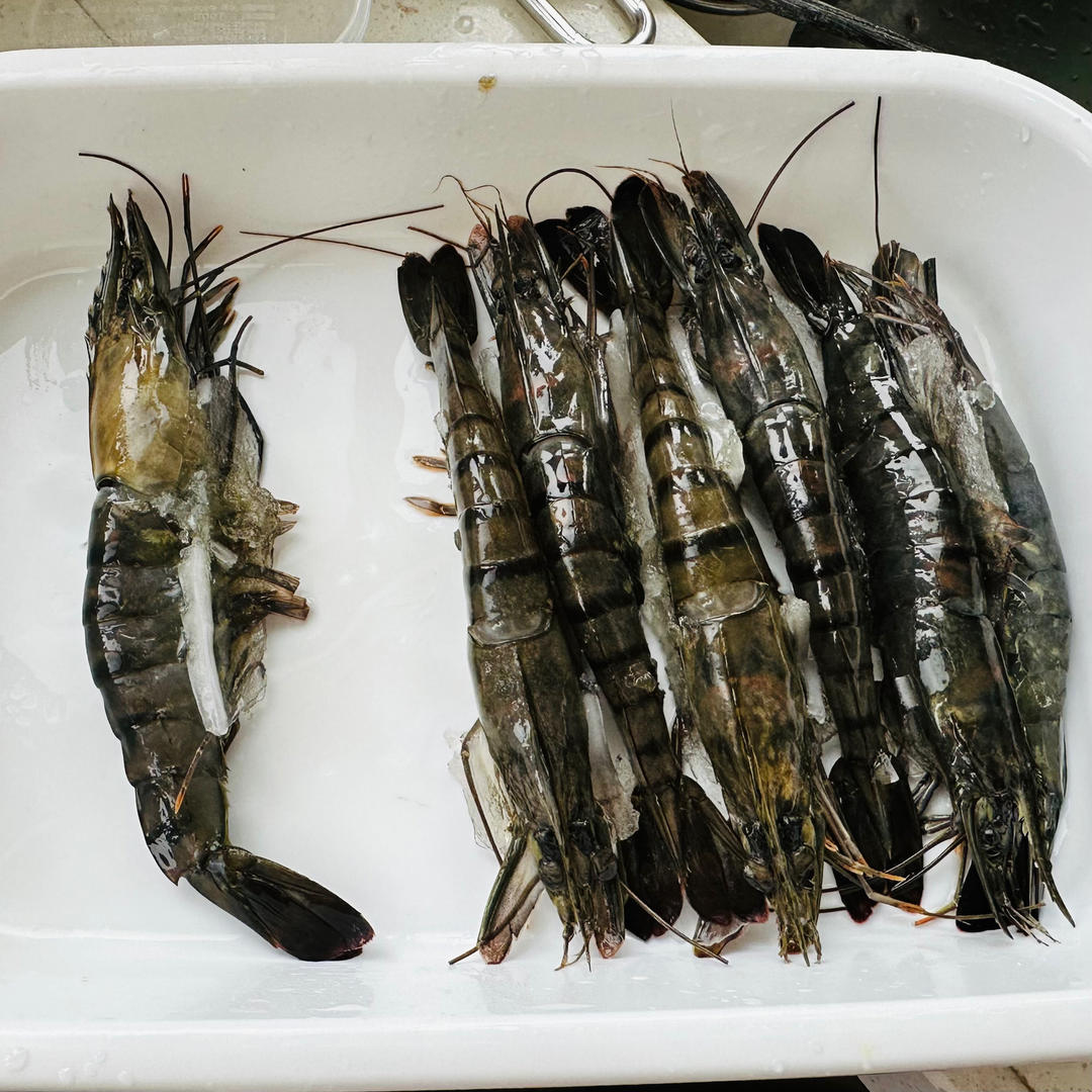 虾仁蒸蛋【10月北鼎蒸煮炖锅食谱】