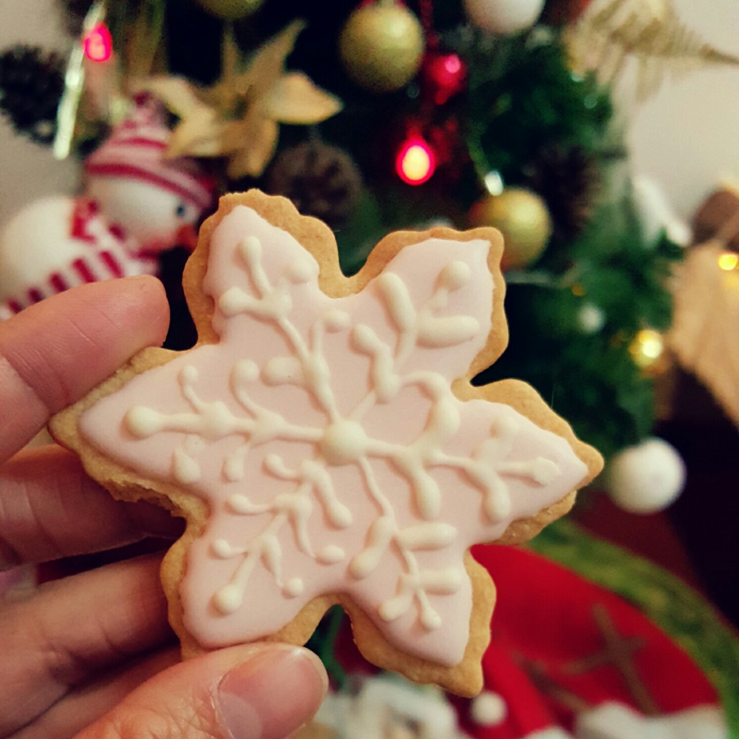 ivy yao做的圣诞老人圣诞节系列糖霜饼干