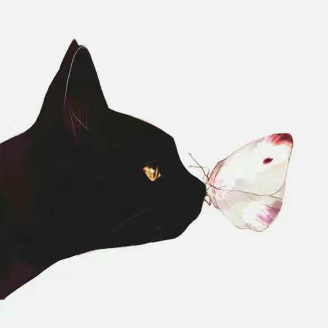 木小木silence
