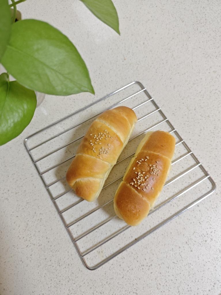 波兰种牛奶餐包