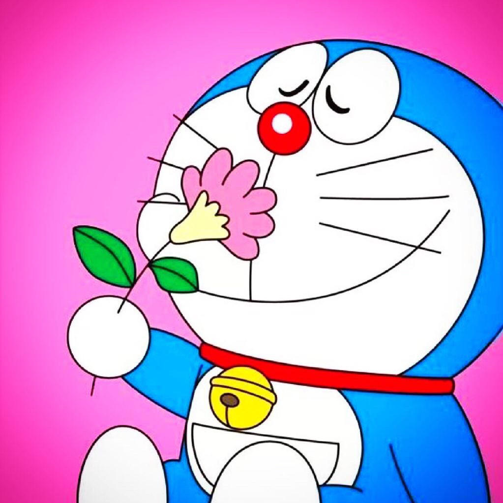芣苡遇见