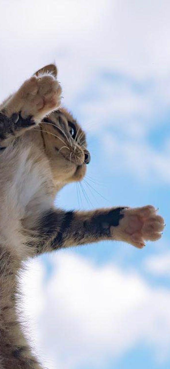 多喝点胡萝卜汁吧