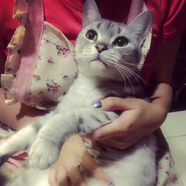 大妍妍12313