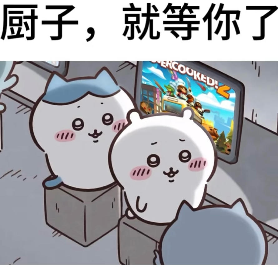 皮皮做饭超好吃