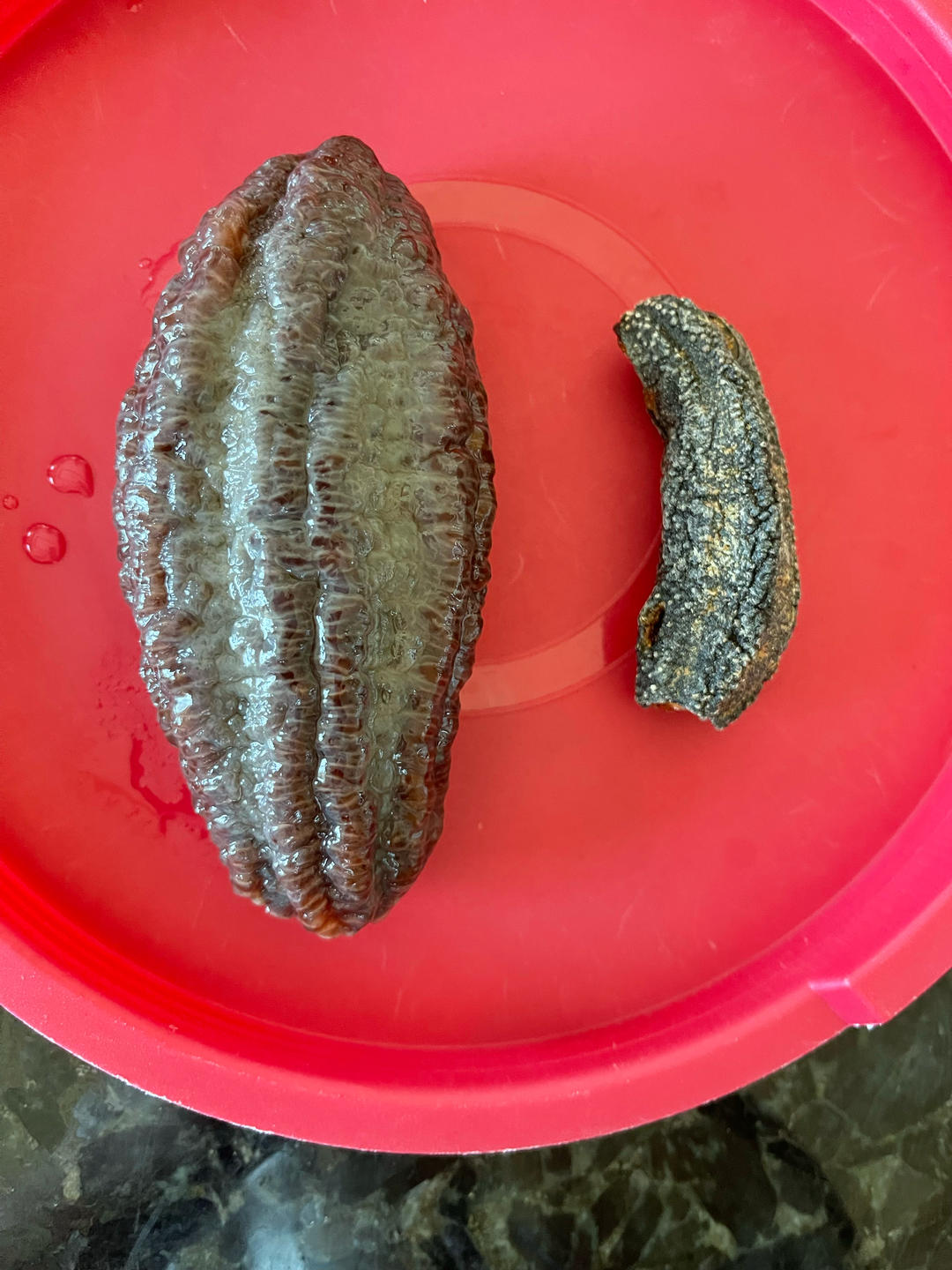 海参泡发攻略