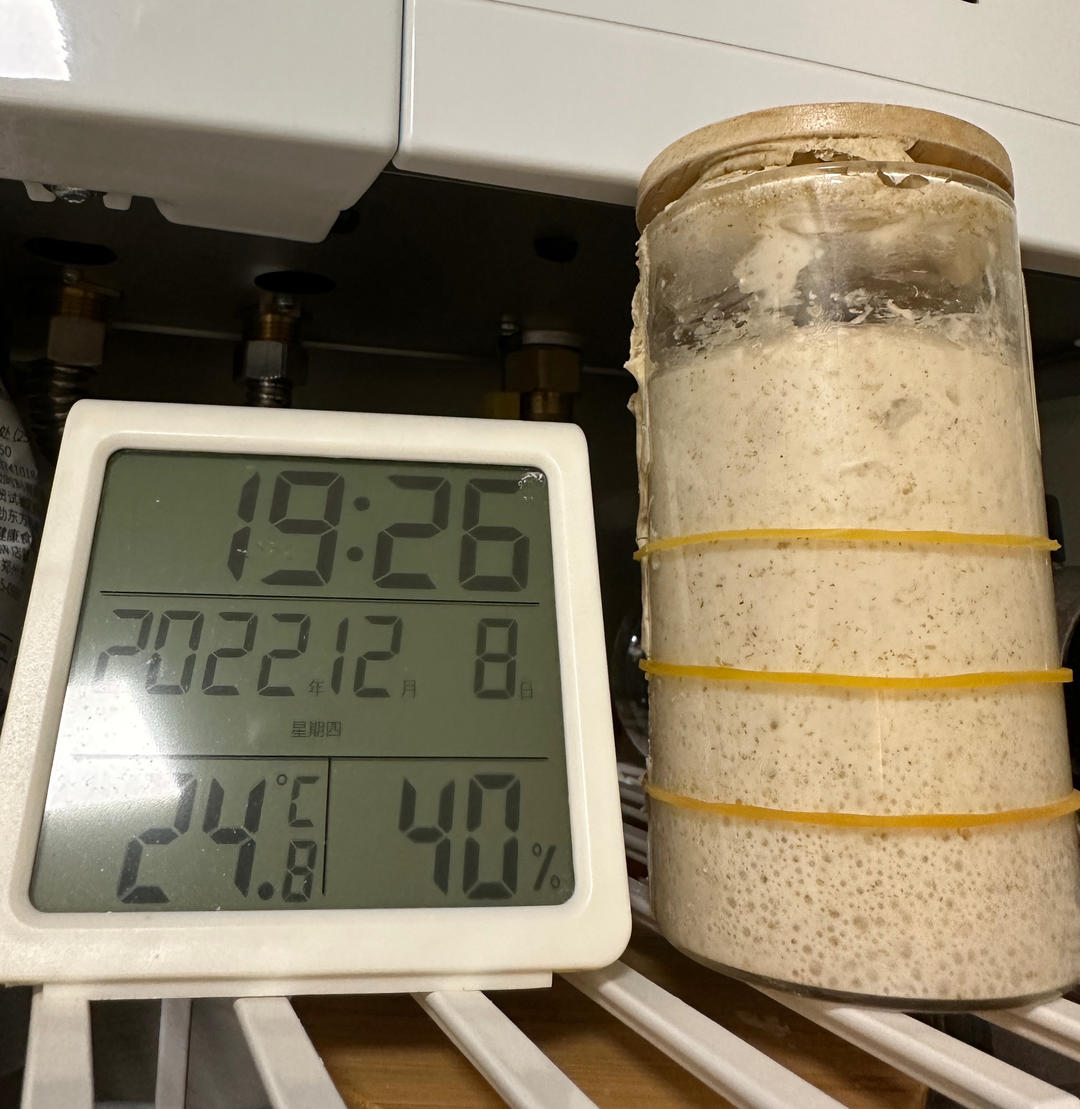 天然酵种、鲁邦种         （黑裸麦起种）
