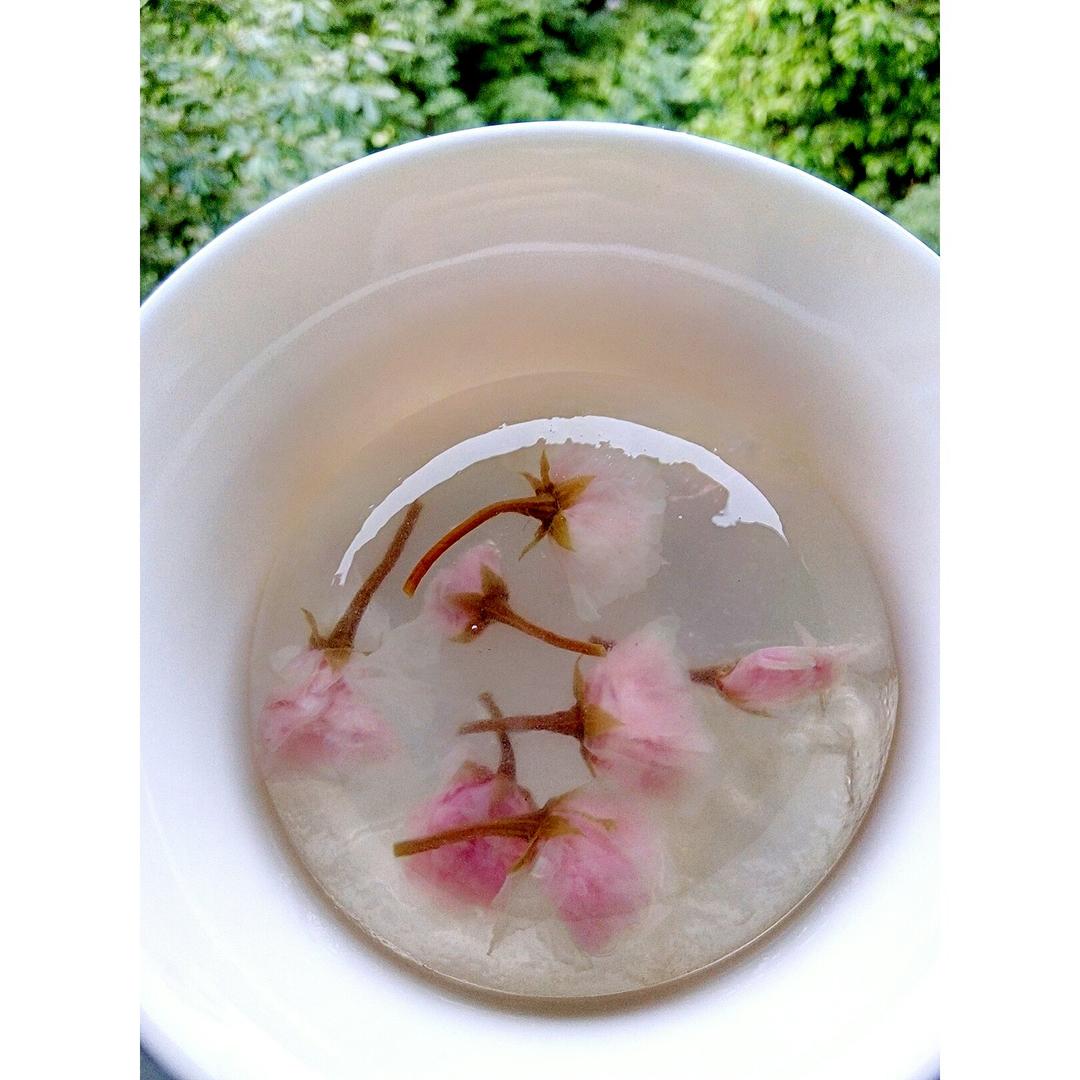 樱花的3+1种有爱吃法「厨娘物语」